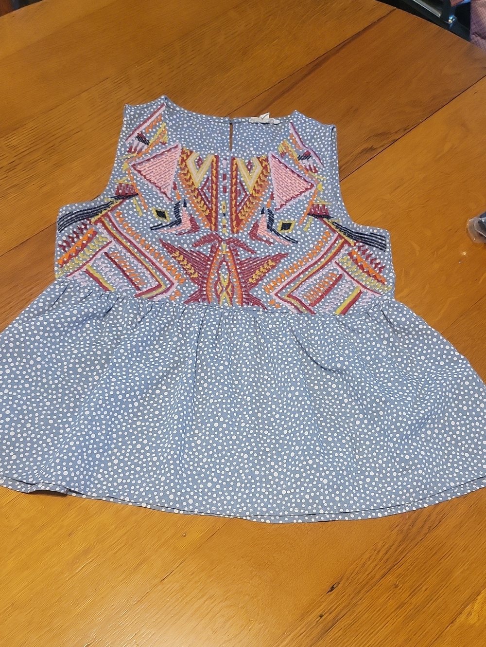 entro Blue Polka Dot Top with Multicolor Embroidery